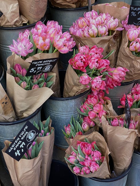 Multiple bouquets of vibrant pink tulips arranged in rustic metal buckets, each wrapped in brown craft paper. The tulips exhibit a variety of shades from soft pastel pink to deeper magenta, with some 