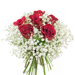 This elegant bouquet, hand-tied with artistry known throughout Pimlico's charming lanes, features six magnificent red roses in velvety, near-peak bloom. Their rich, deep crimson hue glows intensely, reminiscent of the classic red-brick buildings along Warwick Way, each spiraled petal conveying depth and heartfelt emotion. The roses are nestled in a voluminous embrace of delicate white baby's breath, whose countless tiny blossoms create a dreamy, cloud-like effect, lightening the arrangement and heightening the visual drama. The lush spray of Gypsophila evokes the gentle morning fog rolling off the Thames, bringing a sense of softness and serenity that balances the bouquet's bold, passionate centerpiece. Visible below, the stems are freshly cut and bundled with precision, celebrating both the natural beauty and professional craftsmanship of Pimlico's seasoned florists. The crisp, neutral backdrop ensures every detail-from the rose's velvet to the baby's breath's airy texture-stands in perfect contrast, amplifying the bouquet's message of love, gratitude, or joyful celebration. This classic arrangement is ideal for marking an anniversary on a Belgravia terrace, surprising someone special near St. George's Square, or sending love that lingers like a sweet memory. Every petal and stem feels imbued with local spirit, transforming traditional floral elegance into a gift with a distinct Pimlico sensibility.