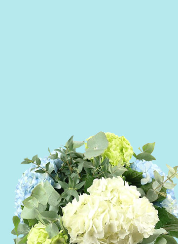 Same day Flowers Pimlico